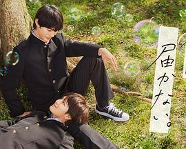 辽宁靠谱的网站推广优化